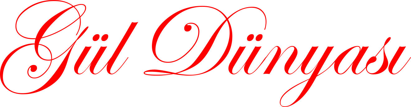 GUL DUNYASI
